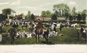 596  -  Meet of Hounds, Lyndhurst