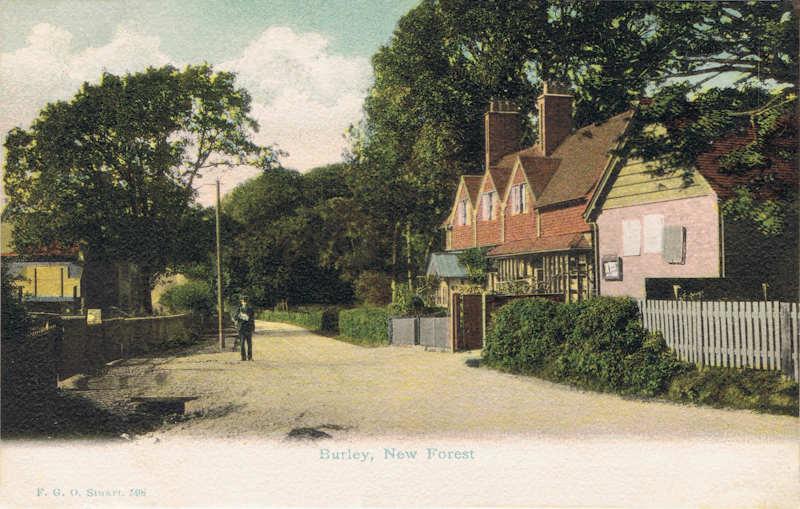 Burley. New Forest