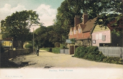 598  -  Burley. New Forest