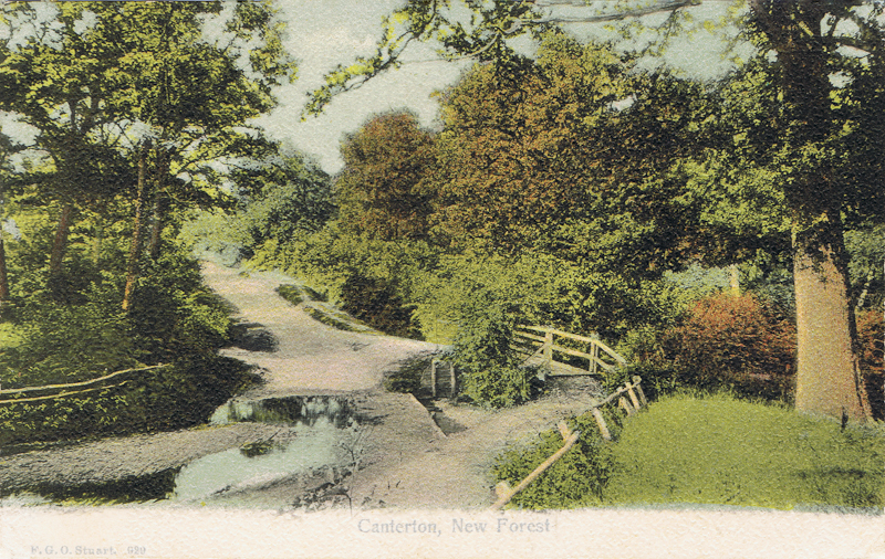 Canterton, New Forest