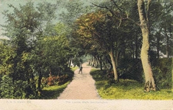 651  -  The Lovers Walk, Southampton