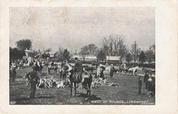 731  -  Meet of Hounds, Lyndhurst