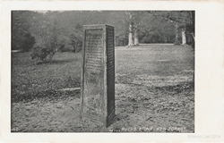 733  -  Rufus Stone, New Forest