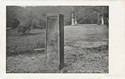 733  -  Rufus Stone, New Forest