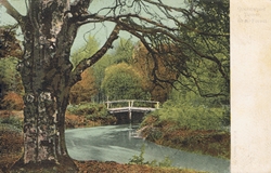 781  -  Queenwood Bower, New Forest
