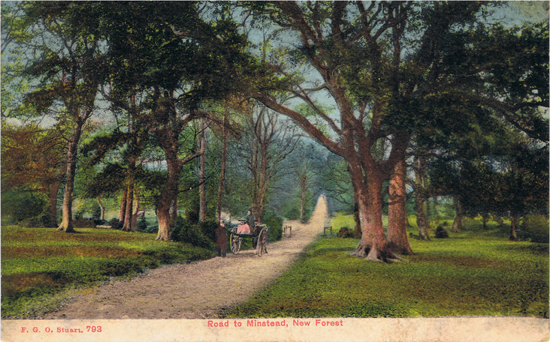 Road to Minstead, New Forest