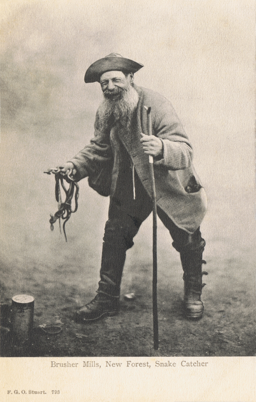 Brusher Mills, New Forest, Snakecatcher
