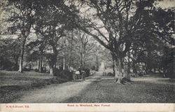 795  -  Road to Minstead, New Forest