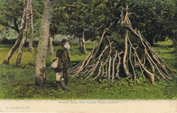 797  -  Brusher Mills, New Forest Snake Catcher