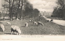 808  -  Windsor Castle from the Long Walk