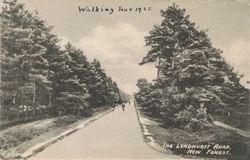   The Lyndhurst Road, New Forest