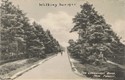   The Lyndhurst Road, New Forest