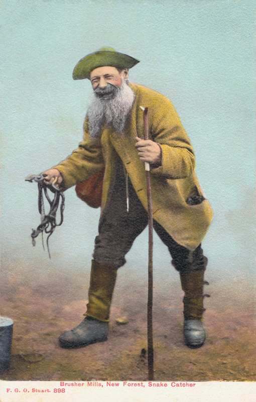 Brusher Mills, New Forest, Snake Catcher
