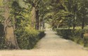 899  -  Spencer Road, Ryde, I. of W.