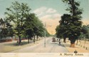 958  -  The Avenue, Southampton