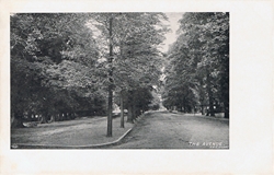 1092  -  The Avenue