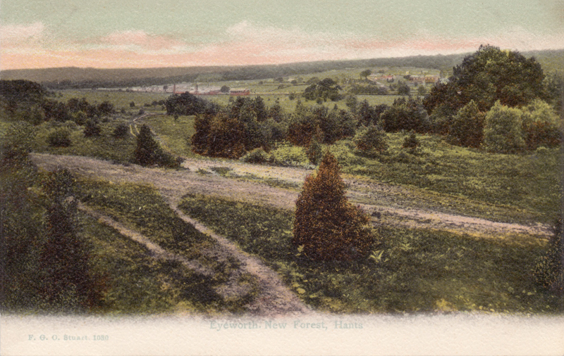 Eyeworth, New Forest, Hants