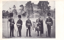 5  -  Royal Scots Fusiliers