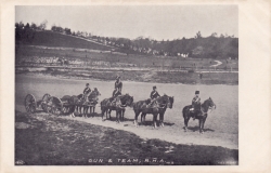 9  -  Gun & Team, RHA