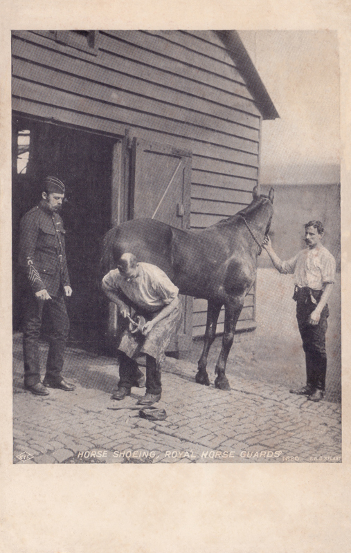 Horse Shoeing, Royal Horse Guards