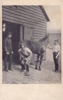 20  -  Horse Shoeing, Royal Horse Guards