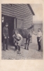 20  -  Horse Shoeing, Royal Horse Guards