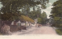 95  -  The Cat and Fiddle, New Forest