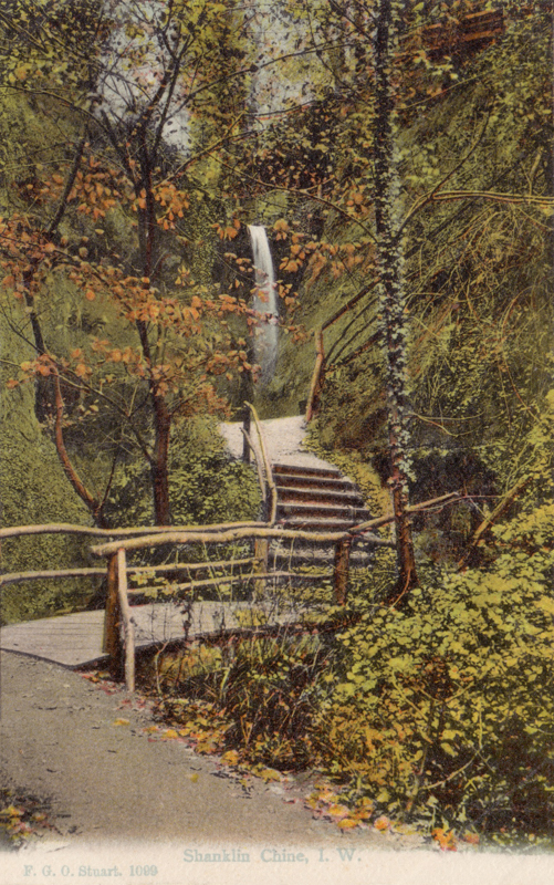 Shanklin Chine, I. W.