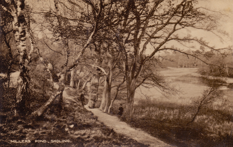 Miller's Pond, Sholing