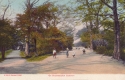 1386  -  On Southampton Common