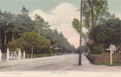 1426  -  Southbourne Road