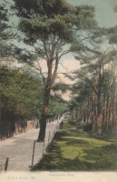 1428  -  Fisherman's Walk