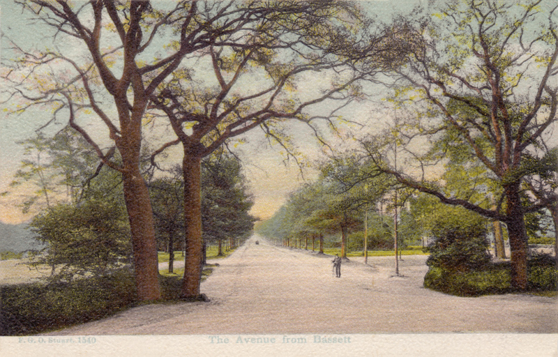 The Avenue from Basset