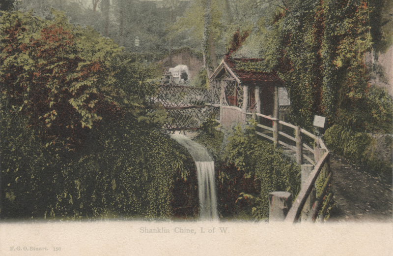 Shanklin Chine I. of W.