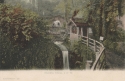 156  -  Shanklin Chine I. of W.