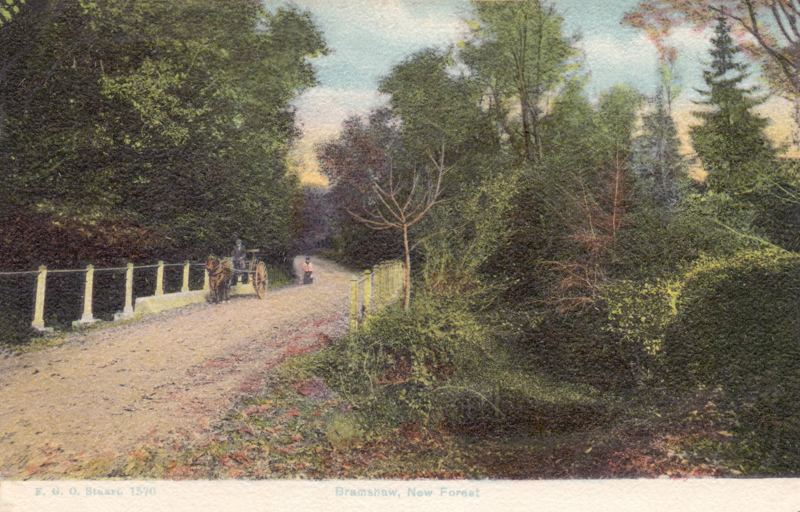 Bramshaw, New Forest