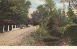 1570  -  Bramshaw, New Forest