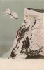 161  -  The Needles, I. of W.