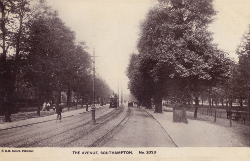 The Avenue Southampton