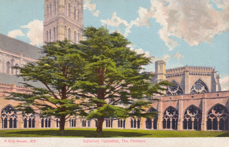 Salisbury Cathedral, The Cloisters