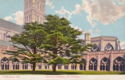 277  -  Salisbury Cathedral, The Cloisters
