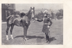 41  -  H. R. H, Duke of Connaught