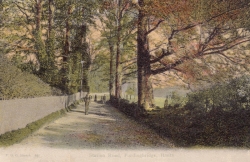 430  -  Station Road, Fordingbridge, Hants