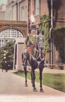 452  -  H. M. King Edward VII.