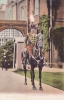 452  -  H. M. King Edward VII.