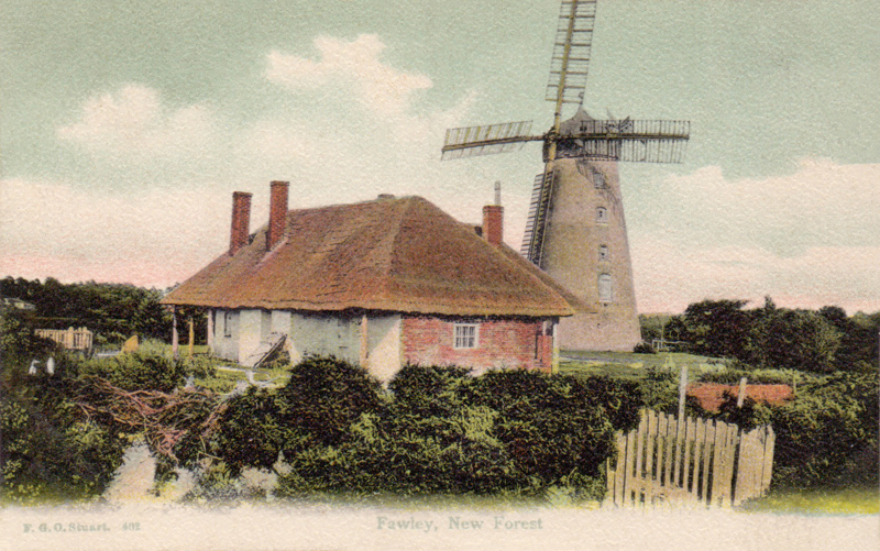 Fawley, New Forest