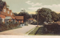 460  -  Burley, New Forest