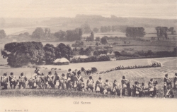 515  -  Old Sarum