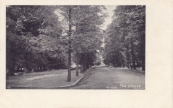 605  -  The Avenue