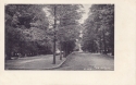 605  -  The Avenue